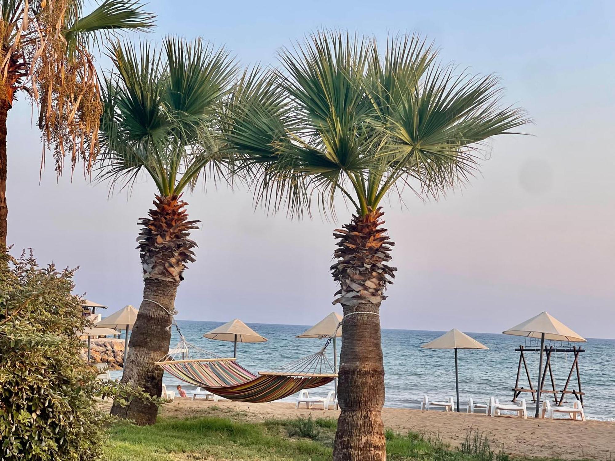 Relaxing Penthouse Suites By The Sea Vokolidha 外观 照片